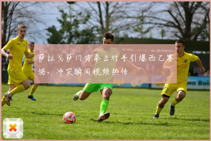 萨拉戈萨门将拳击对手引爆西乙赛场，冲突瞬间视频热传